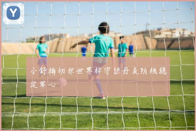 小舒梅切尔世界杯守护丹麦防线稳定军心