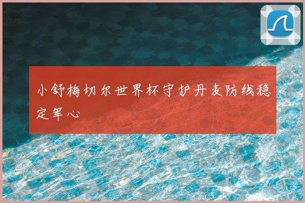 小舒梅切尔世界杯守护丹麦防线稳定军心