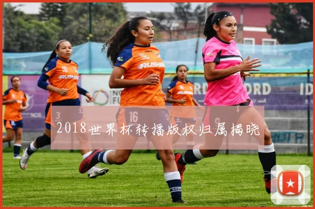 2018世界杯转播版权归属揭晓