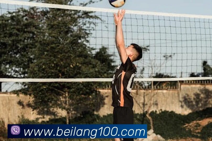 买球官方平台生态图